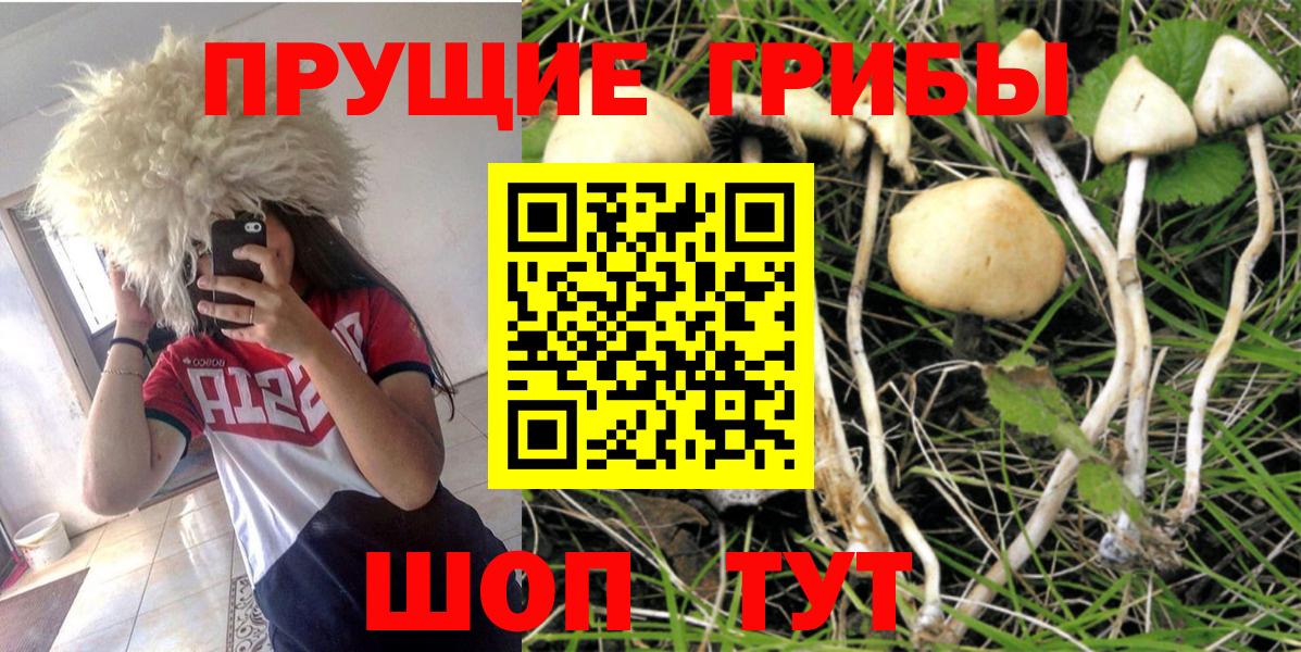 Галлюциногенные грибы мицелий  Вход с VPN  Клин 